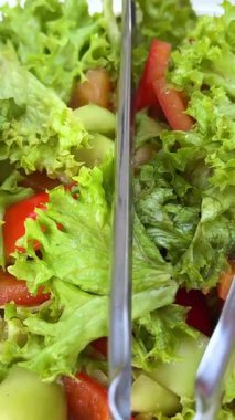 Döner arazide taze salata yaprakları. Üst Manzara. Yeşil çiğ organik sebzeler. Vejetaryen diyeti ve vejetaryen gıda konsepti. Yüksek kalite 4k görüntü