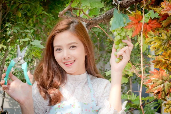 The girls were cutting a bunch of grapes , green and purple grapes . — Stock Photo, Image