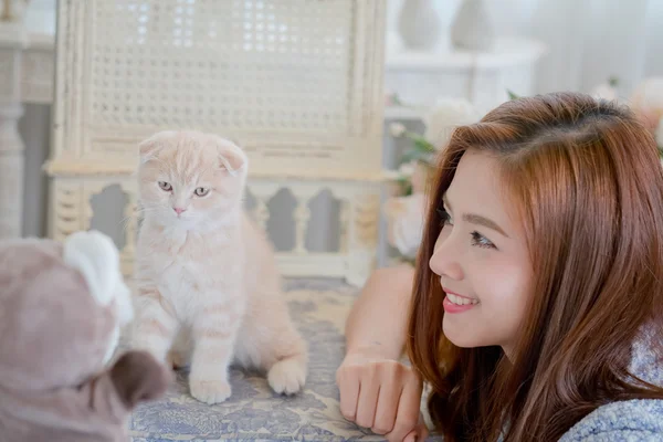 Cute girl and cat Playing with Sock Puppets — Stock Photo, Image