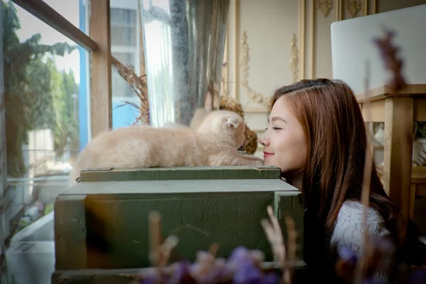 Una niña pequeña con un lindo gato  . — Foto de Stock