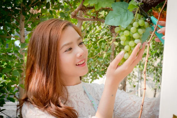 女孩看着一串绿葡萄上灿烂的一天 — 图库照片