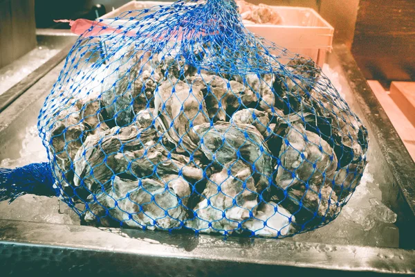 メッシュ バッグで新鮮な牡蠣を提供してください。 . — ストック写真