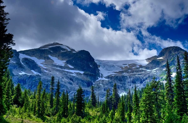 Groene bossen en sneeuw bedekte bergen na storm. — Stockfoto
