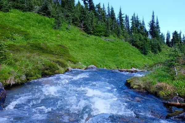 Wildwasser Fluss und Wiesen. — Stockfoto