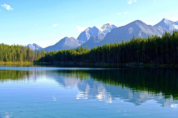 Herbert Lake tapınak Dağı yansıması. — Stok fotoğraf