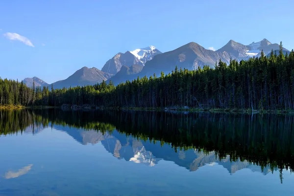 Herbert Lake tapınak Dağı yansıması. — Stok fotoğraf