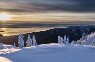  Donmuş köknar ağaçlarının tepesinde kar hayaletleri. Seymour Dağı Provinicial Parkı, kayak alanı. Vancouver. İngiliz Kolombiyası. Kanada