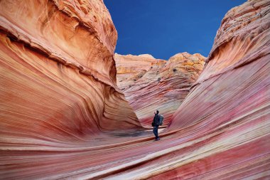 Arizona Kanyonu 'nda dokulu kırmızı duvarları olan bir turist yürüyüşü. Dalga, Paria Kanyonu. Kanab. Utah. Amerika Birleşik Devletleri 