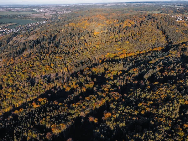 Renkli sonbahar ormanlarının ve Çek Cumhuriyeti 'nin kırsal bölgelerinin havadan görünüşü canlı sonbahar yeşillikleri ve kırsal doğayla iç içe çekilmiş insansız hava aracı fotoğrafı..