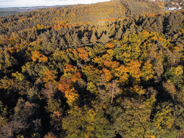 Çek Cumhuriyeti 'ndeki sonbahar ormanlarının renkli sonbahar yaprakları ve güneş ışığı manzaralı ağaçların tepelerini aydınlatıyor..