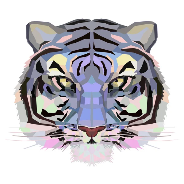 Niebieski Tygrys, tło — Zdjęcie stockowe
