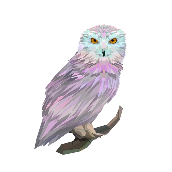 Unusual bright owl