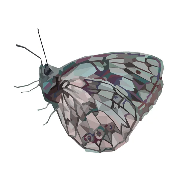 Polygonální abstraktní motýl — Stockový vektor