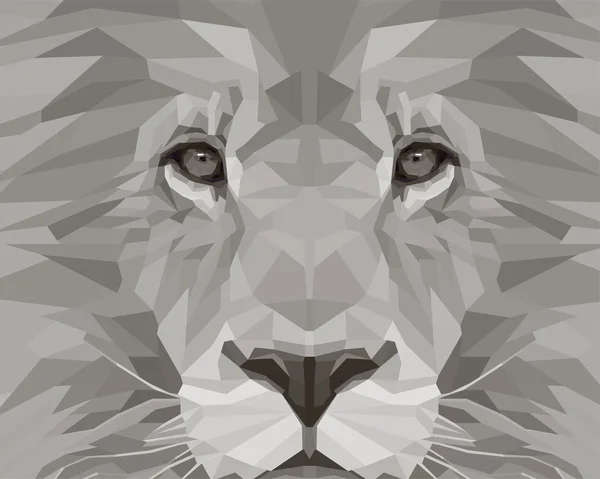 Monochrome lion portrait — Stock Photo, Image