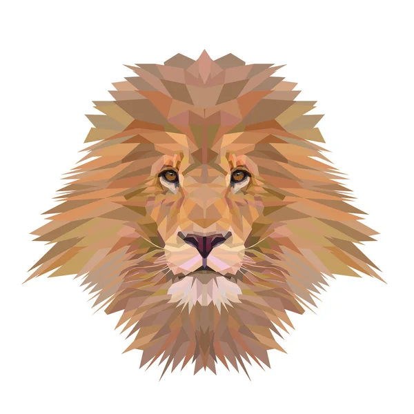 Portrait de lion lumineux — Image vectorielle