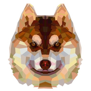 Kurt kafası, soyut portre