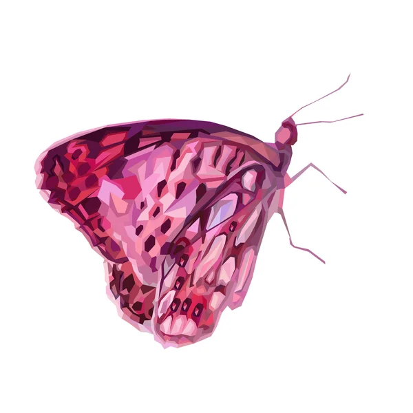 Różowy leopard motyl — Zdjęcie stockowe