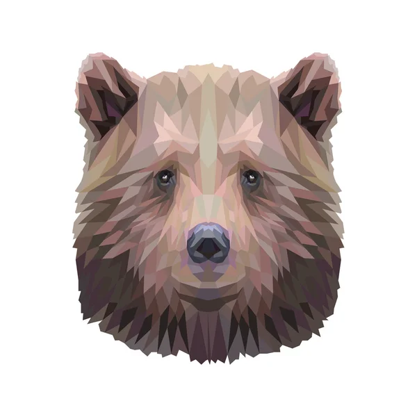 Abstracte bear hoofd op witte achtergrond — Stockvector