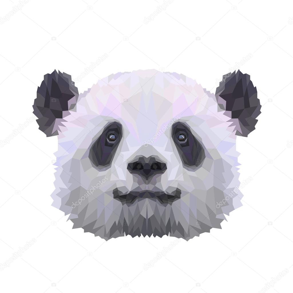 Abstract colored panda portrait