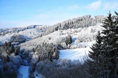 Ocak 2026 'da Dedenborn' da kış, Kuzey Eifel 'de, Almanya' nın Simmerath belediyesine bağlı bir köy.