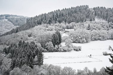 Ocak 2026 'da Dedenborn' da kış, Kuzey Eifel 'de, Almanya' nın Simmerath belediyesine bağlı bir köy.