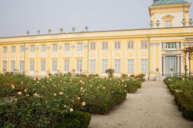 Polonya 'nın Varşova kentindeki Wilanow Kraliyet Sarayı yakınlarındaki güzel gül bahçesi