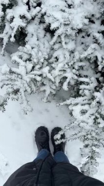 Kar yağdıktan sonra kış parkında dikilen kalın çizmeli ve kabarık ceketli bir kadın. Karla kaplı kozalaklı çalılar.