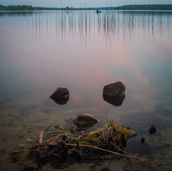 Steine, Büsche, der See bildet ein skurriles Gesicht — Stockfoto