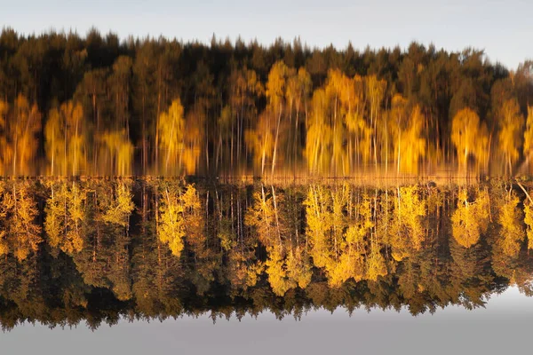 Umgekehrte Spiegelung des Waldes im See. — Stockfoto