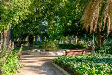 Jardines del Real, Viveros Valencia, Turia Nehri 'nin eski kurumuş nehir yatağının yanında ağaçların arasında yürü.