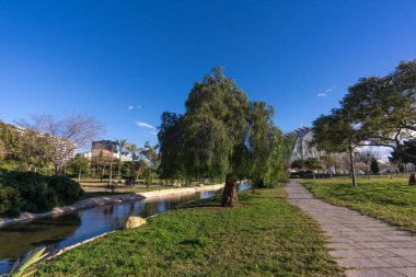 Turia River Bahçeleri Jardin del, Valencia 'da boş zaman ve spor alanı. Ağaçlar, çimen suyu