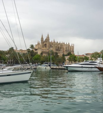 Palma de Mallorca 'daki Santa Maria Katedrali