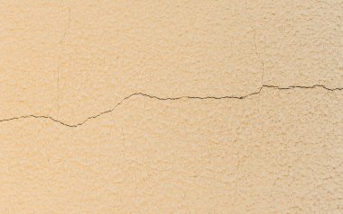 çatallı beton beyaz duvar