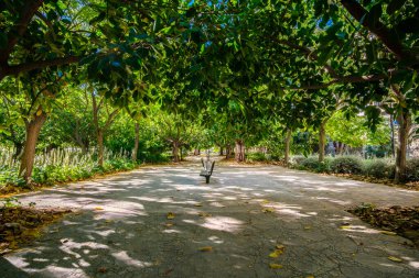 Eski kurak nehir yatağına park et, Turia nehri bahçeleri, Valencia, İspanya
