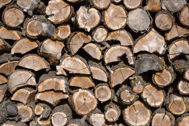 Kışa hazır odun yığını, kuru yakacak odun - kirletici enerji