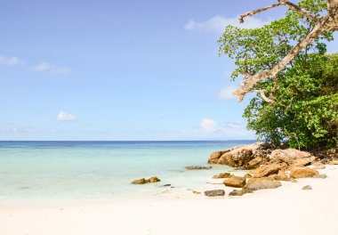 plaj deniz ve brance - vintage film filtre ile mavi gökyüzü
