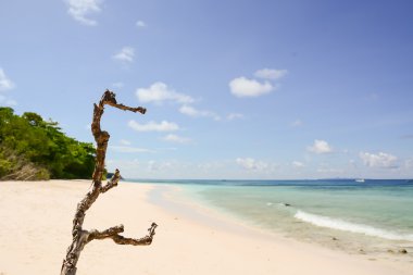 plaj deniz ve brance - vintage film filtre ile mavi gökyüzü
