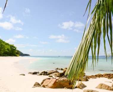 plaj deniz ve yaprak - film filtre ile mavi gökyüzü