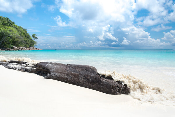 дерево в песок с морем и кремувки