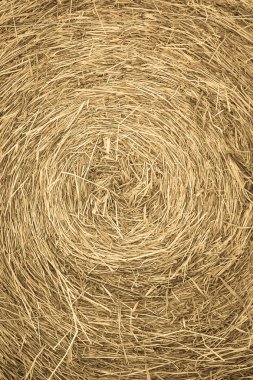 saman doku arka planı için