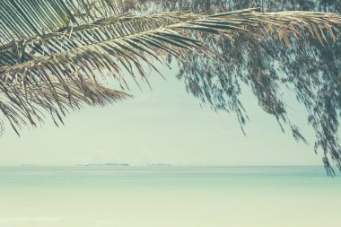 plaj deniz ve yaprak - film filtresi ile yumuşak odak ile mavi gökyüzü