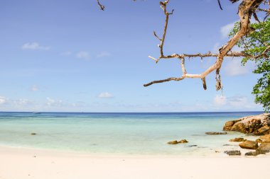 plaj deniz ve brance - vintage film filtre ile mavi gökyüzü
