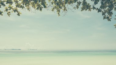 plaj deniz ve yaprak - film filtresi ile yumuşak odak ile mavi gökyüzü