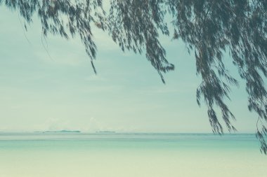 plaj deniz ve yaprak - film filtresi ile yumuşak odak ile mavi gökyüzü