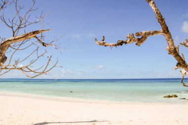 plaj deniz ve brance - vintage film filtre ile mavi gökyüzü