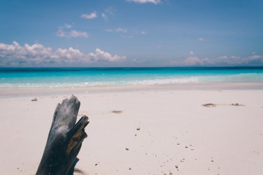 plaj deniz ve yaprak - film filtre ile mavi gökyüzü