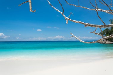 plaj deniz ve brance ile mavi gökyüzü