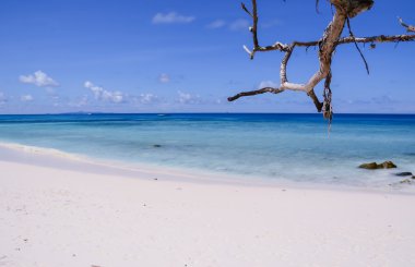 plaj deniz ve brance - vintage film filtre ile mavi gökyüzü