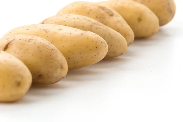 Patata fresca sobre fondo blanco —  Fotos de Stock