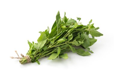 Beyaz üzerine kutsal fesleğen